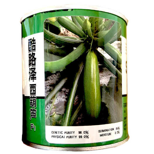济南西葫芦种子酷路泽杂交一代翠绿色耐热产量高