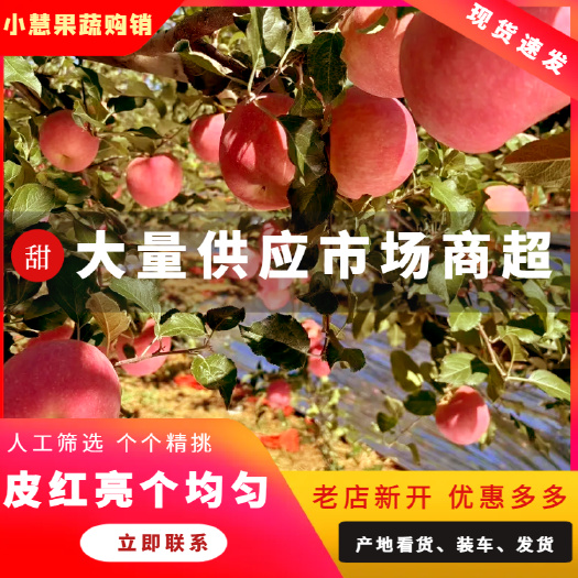 苹果 产地批发 全年有货  质量精选