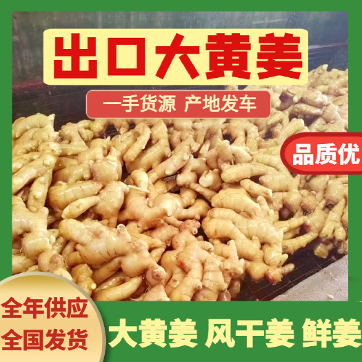 沂水縣大黃姜 鮮姜老姜風(fēng)干姜 出口 箱裝彩印 個(gè)個(gè)精選  快速裝車(chē)