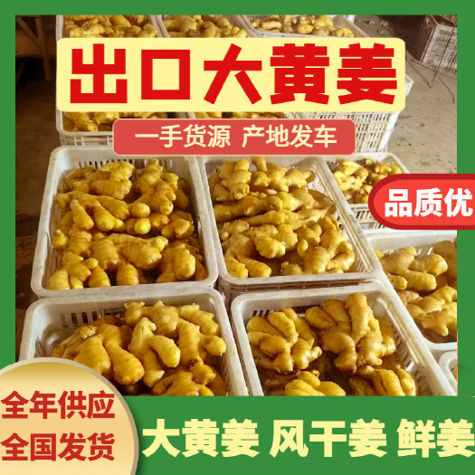 沂水縣水洗大黃姜 鮮姜 風(fēng)干姜 產(chǎn)地發(fā)貨 一手貨源 全年供應(yīng)