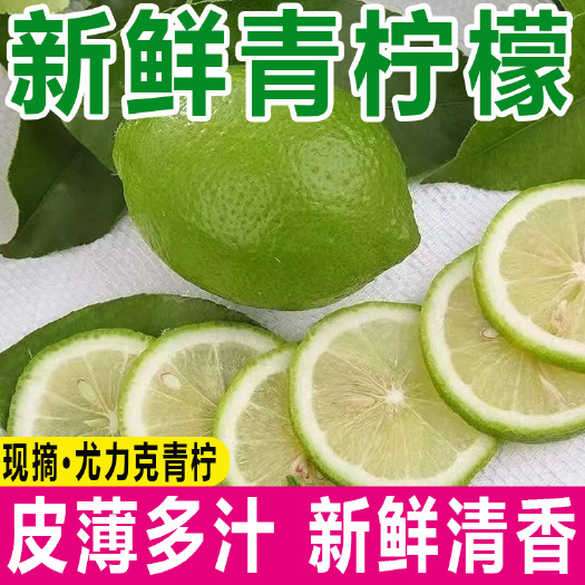 景洪市9.99抢云南高山尤力克柠檬青柠檬酸爽多汁皮薄肉厚非无籽