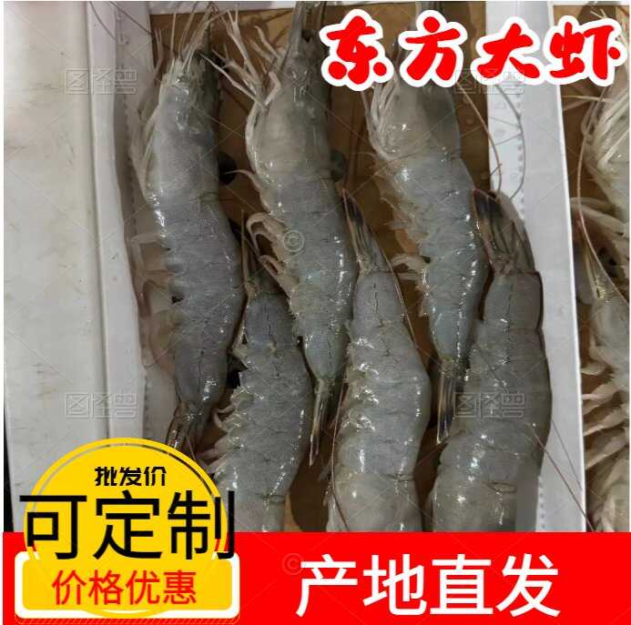 唐山【特大大虾】东岛大虾鲜活基围虾青虾冷冻对虾海虾整箱批发礼盒装