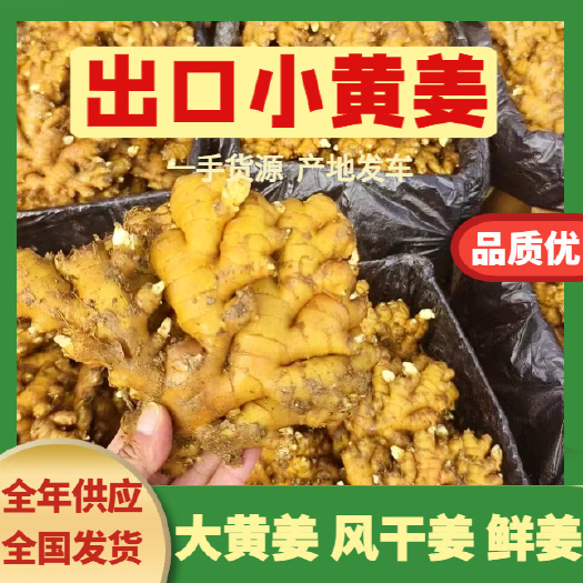 莒县小黄姜 优质窖藏 一手货源 全国发货 可水洗加工 产地装车
