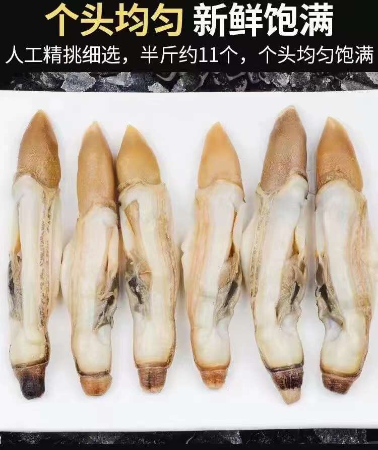 新鲜蛏王肉鲜活冷冻竹节蛏子现剥海捕蛏子肉贝类海鲜水产批发