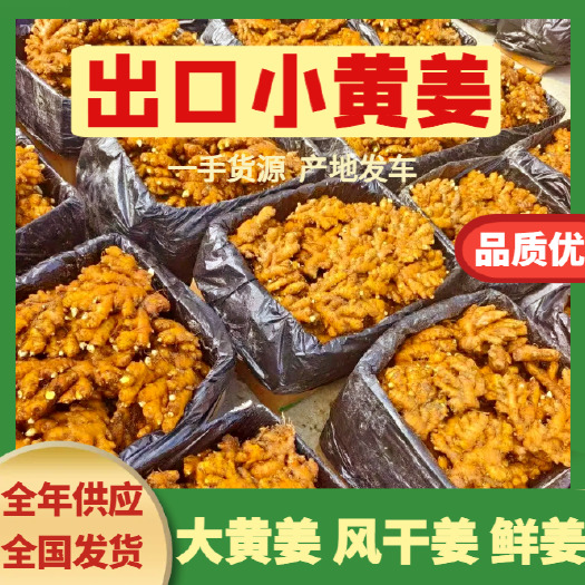 沂水县精品窖藏小黄姜 个头均匀 辛香十足 产地代办 进店咨询运费