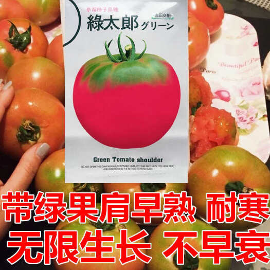 绿太郞草莓柿子种子 草莓番茄种子 早熟耐寒 深粉红高圆大果