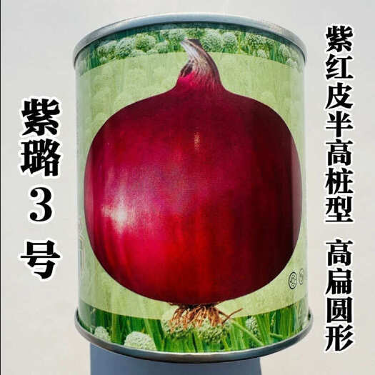 寿光市紫璐3号洋葱种子甜脆辣味适中紫红皮洋葱种籽半高桩高扁圆形