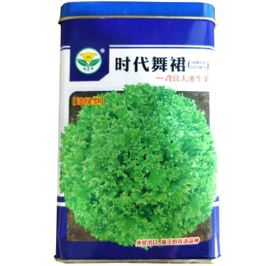 济南大速生菜种子浓绿型浅绿菜种籽散叶细叶玻璃生菜种籽青菜