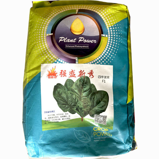 寿光市强盛新秀四季菠菜种子 优良品种适应性强 长势旺抗病抗寒耐热