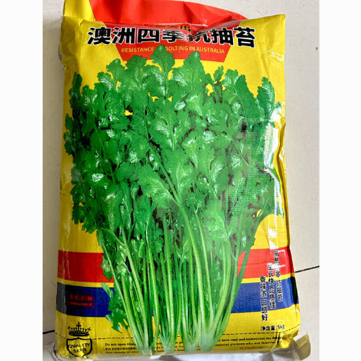 澳洲四季香菜种子全年种植香味浓抗热耐寒抗抽苔三天出苗基地品种