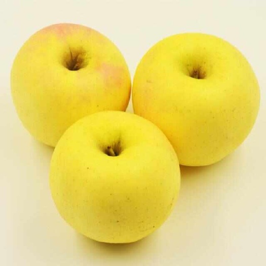兰州融合饲料