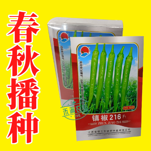 武汉九十月可育苗优质杭椒种子美人椒种籽羊角椒镇椒216早熟辣椒种