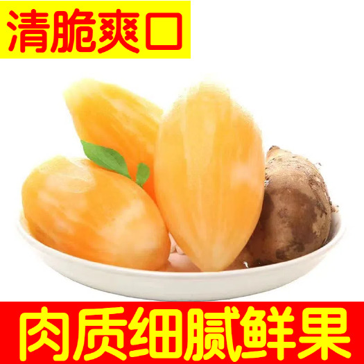 云南雪莲果主产区合作社直供有，寻求全国各地批发商电商一件代发