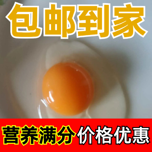 长兴县江浙沪批发当天直达浙江湖州散养土鸡蛋可快递包邮可货拉拉