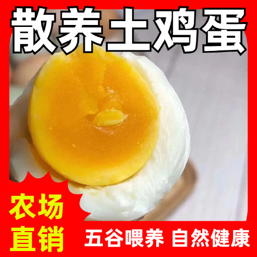 安吉县【江浙沪 现货批发 当天可达】浙江散养土鸡蛋初生蛋，送礼高端