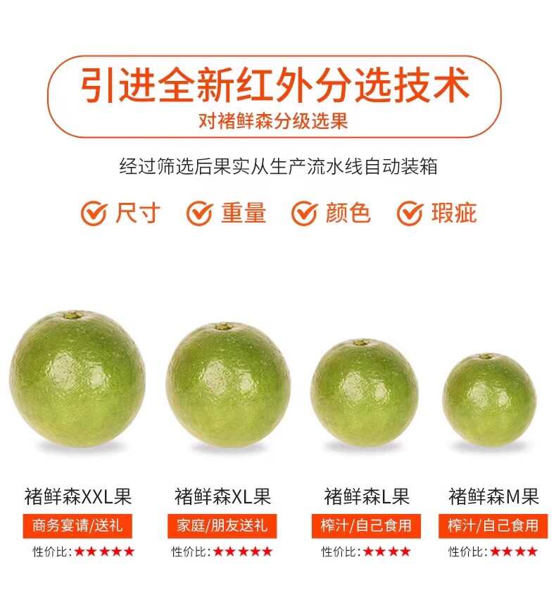 褚鲜森冰糖橙10斤装礼盒支持一件代发