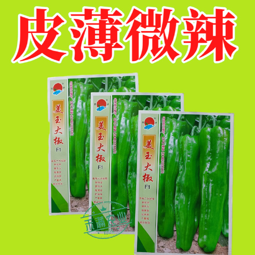 武汉王炸品美玉大辣椒种籽特大薄皮椒种籽高端辣椒种籽皱皮椒种籽