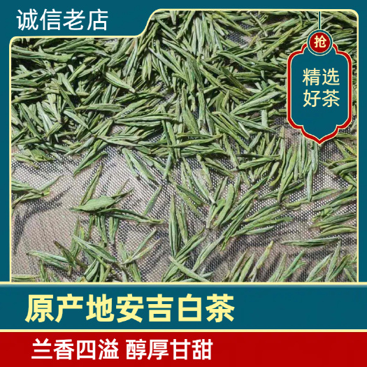 安吉县浙江安吉白茶明前茶