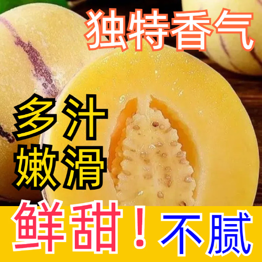 石林县云南人参果大量上市了，主产区收货