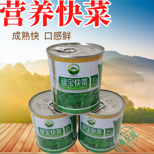 武汉快菜奶油种高产室外成熟耐热耐湿速生小白菜青菜蔬菜种大全四季