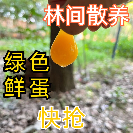 无抗无药残 精品双色粉蛋 现货供应 下单前咨询库存
