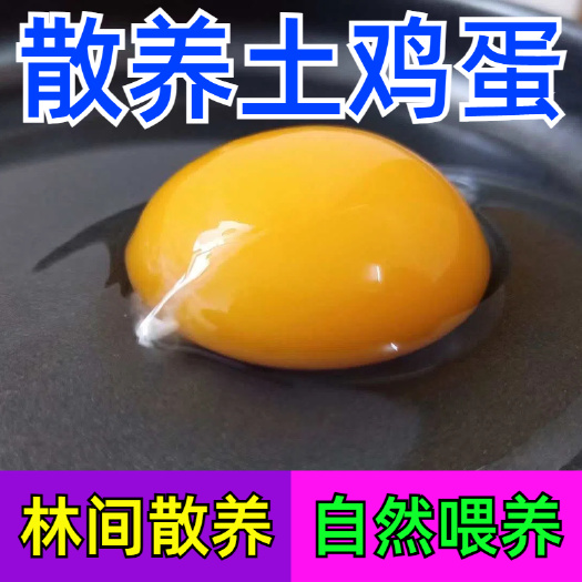 长兴县本地散养粉壳土鸡蛋