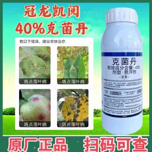 潍坊40%克菌丹大厂老品牌蔬菜柑橘苹果斑点落叶病美果杀菌剂