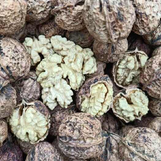 凤庆县云南省临沧市凤庆大树薄皮核桃干果，皮薄仁满口感香甜，优质货源
