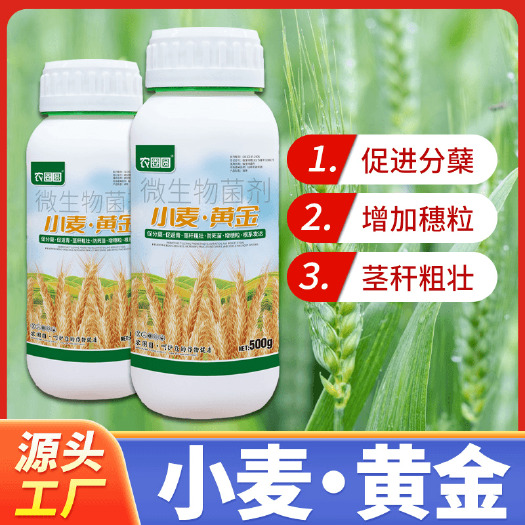 长沙水稻粒粒饱水稻黄金增产促分蘖抗倒伏生根壮苗专用叶面肥料