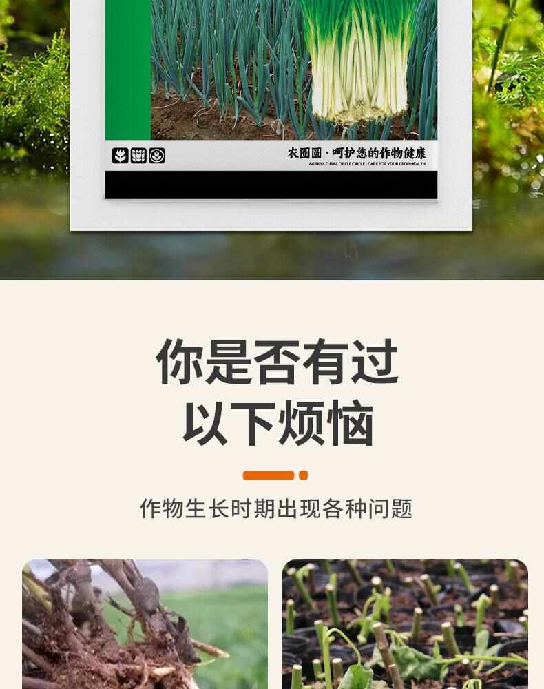 大葱拉直拉长快速增白增厚增产香葱大葱防止空心强效强力叶面肥