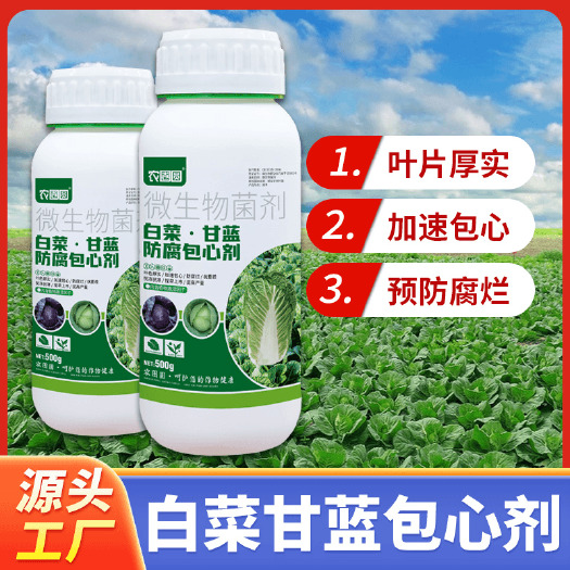 长沙白菜甘蓝防腐包心剂叶色厚实加速包心抗冻抗寒提早上市水溶肥