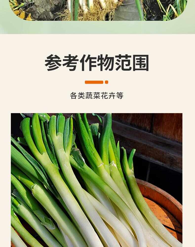 大葱拉直拉长快速增白增厚增产香葱大葱防止空心强效强力叶面肥