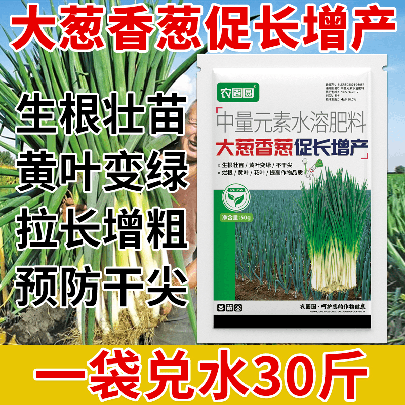 大葱拉直拉长快速增白增厚增产香葱大葱防止空心强效强力叶面肥
