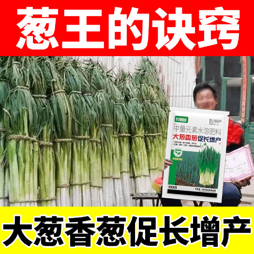 长沙大葱拉直拉长快速增白增厚增产香葱大葱防止空心强效强力叶面肥