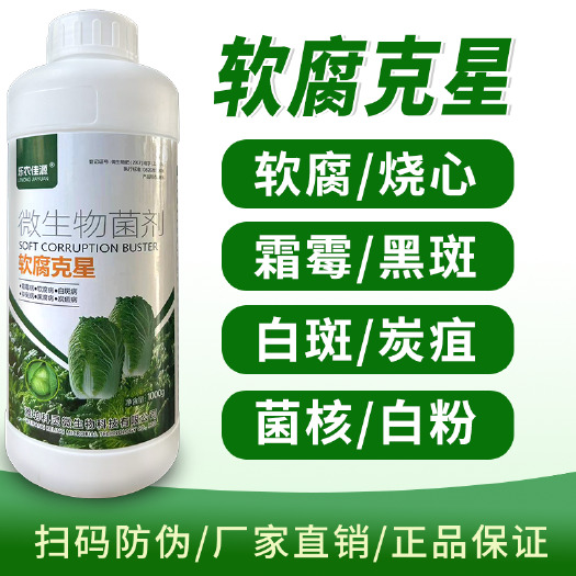 寿光市白菜甘蓝专用药软腐立枯根腐白斑猝倒黑腐黄叶霜霉病杀菌剂