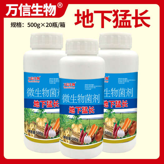 地下猛长地下根茎膨大素土豆莲藕生姜蒜芋头红薯萝卜等地下茎农用