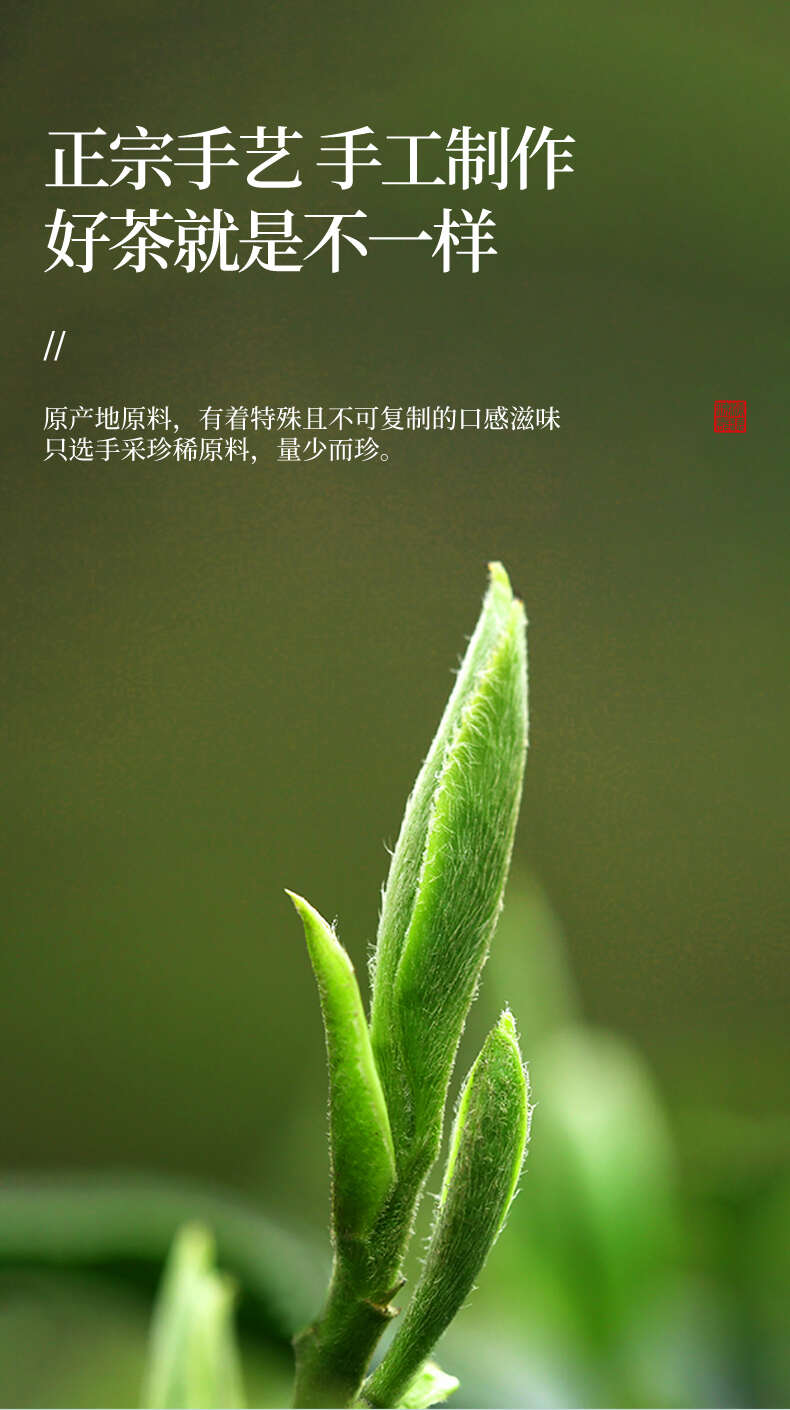 新茶碧螺春茶叶绿茶春茶苏州明前毛尖嫩芽茶浓香罐装500克包邮