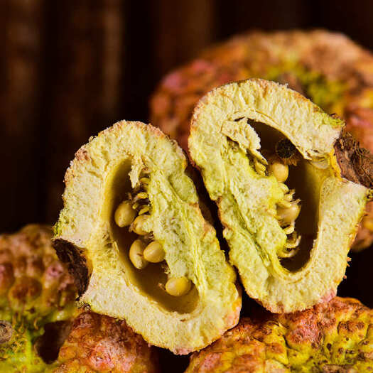 昆明一手货源 大货批发刺梨 低温冻干刺梨果高原刺梨果干