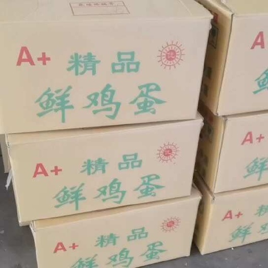 佳木斯基地批发35-45粉壳蛋