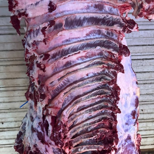 天津屠宰场现宰牛肉，无水纯干，牛前，牛肉，瘦肉均有货