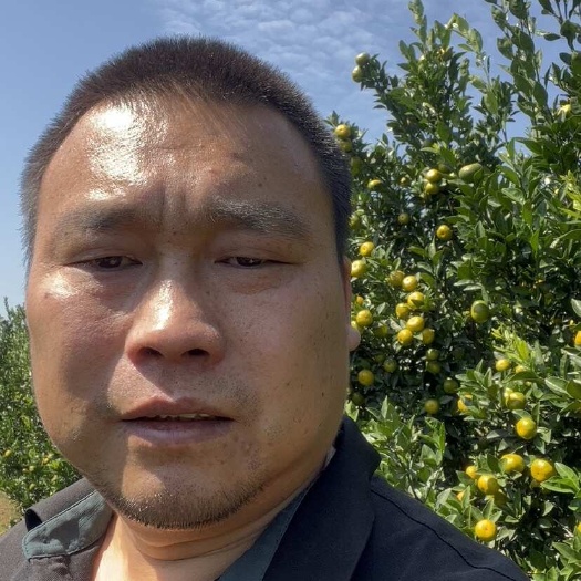 全州县广西桂林棉橘蜜广臭皮柑开市上市纯甜无渣口感超丝滑