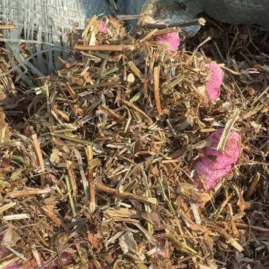 沈阳新花生秧秸秆饲料、牛羊马驴鹿驼兔草料、除尘优质花生秧、