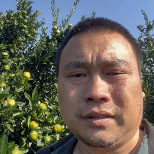 全州县广西桂林南丰蜜橘一点红开采