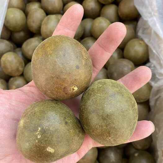 昆明【罗汉果】中药材批发中果散装泡茶广西特产肉多扎实