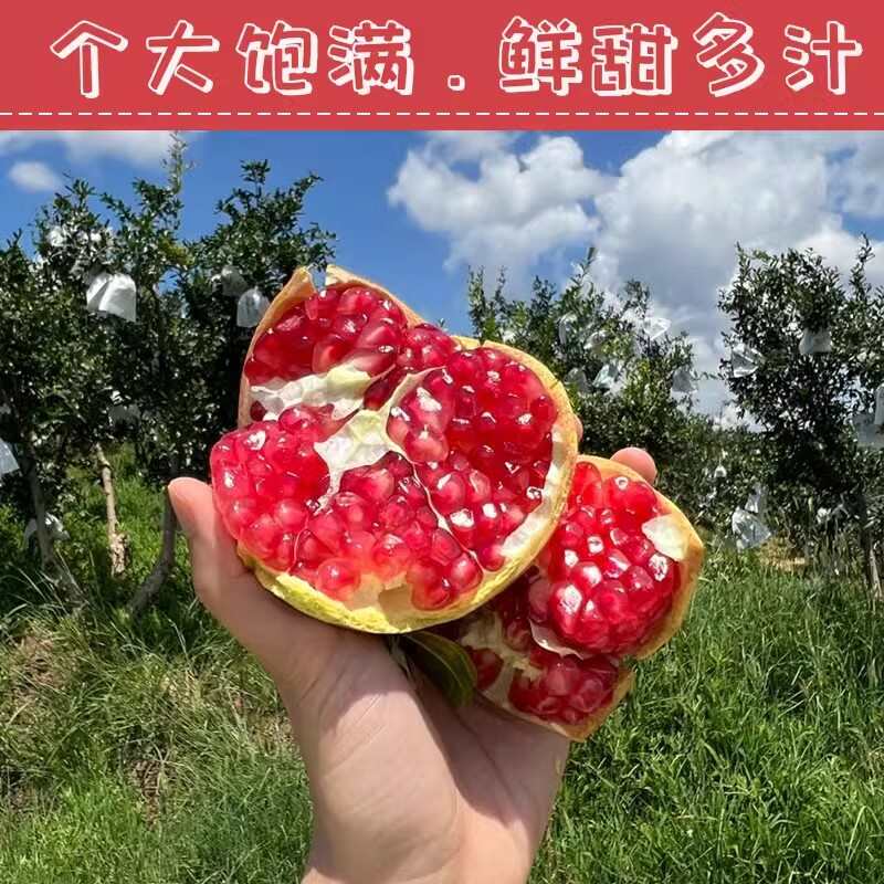 【光果皮花口感更好】河阴突尼斯软籽石榴5斤装一件代发