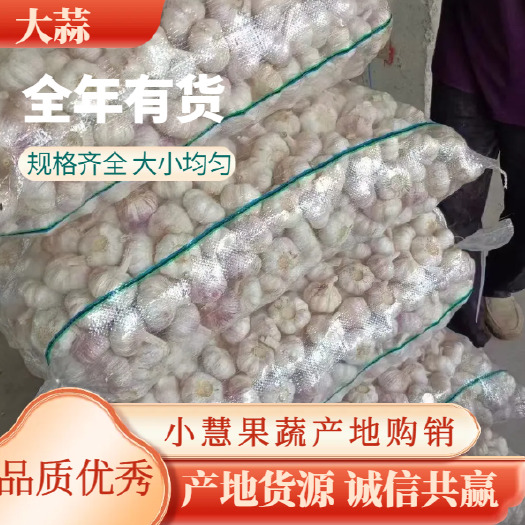 大蒜 山东基地直发 一手货源 全国发货 品种丰富 规格齐全
