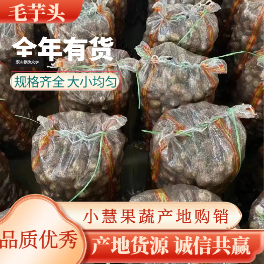 沂水县毛芋头精品果 芋头种产地发货 全国供应 大小均匀 口感软糯