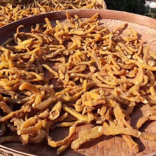 包邮！广州连州玉竹条玉竹熟条产地直销，全国包邮