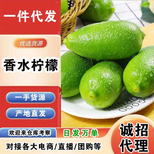 海口海南香水柠檬一件代发产地直发一手货源对接各大电商平台