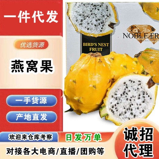 海南燕窝果一件代发产地直发一手货源对接各大电商平台